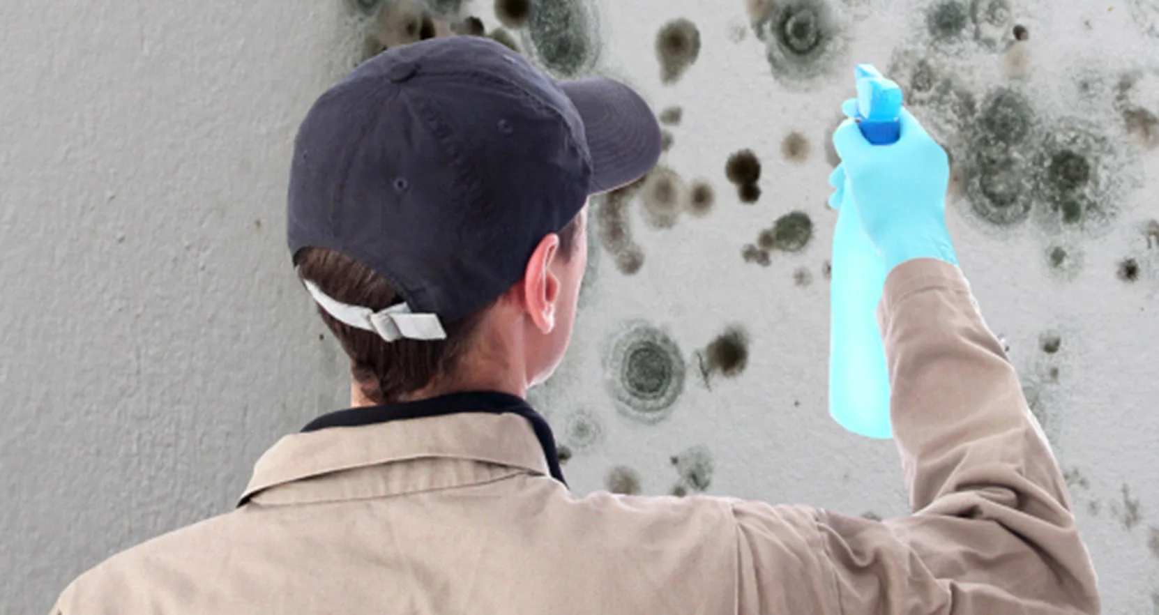 Jenkins Environmental Mold Remediation